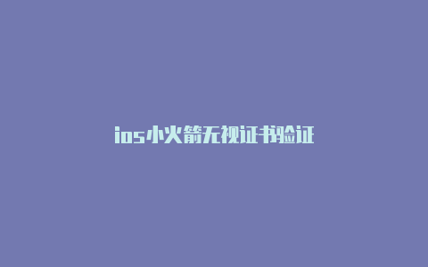 ios小火箭无视证书验证