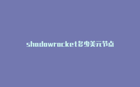 shadowrocket多少美元节点