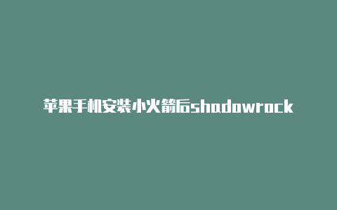 苹果手机安装小火箭后shadowrocketwindow