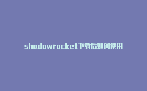 shadowrocket下载后如何使用