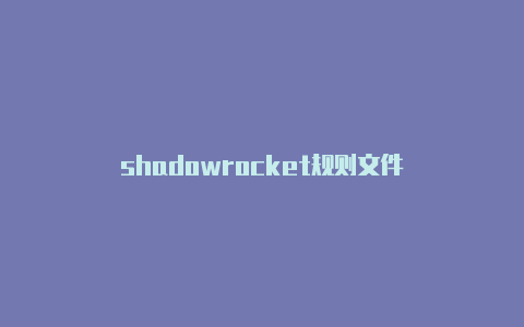 shadowrocket规则文件