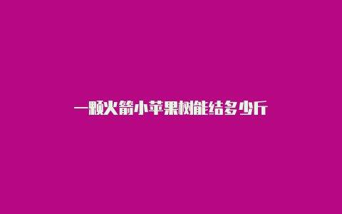 一颗火箭小苹果树能结多少斤