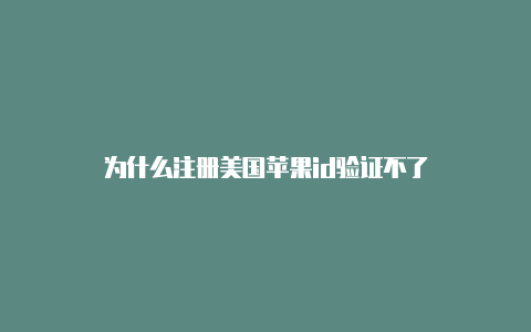 为什么注册美国苹果id验证不了