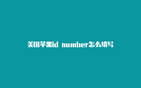 美国苹果id number怎么填写