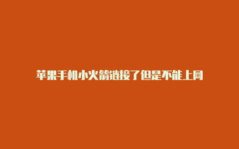 苹果手机小火箭链接了但是不能上网