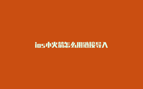 ios小火箭怎么用链接导入