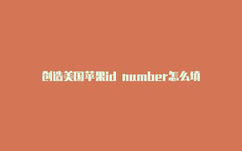 创造美国苹果id number怎么填