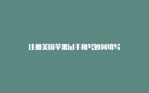 注册美国苹果id手机号如何填写