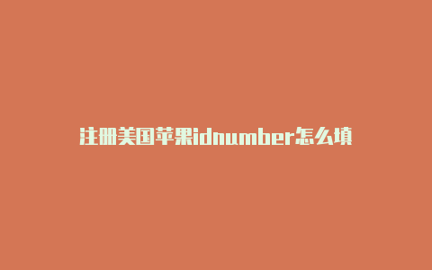 注册美国苹果idnumber怎么填