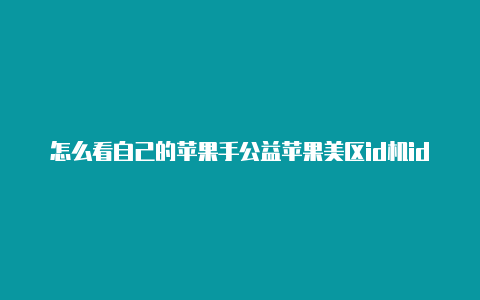 怎么看自己的苹果手公益苹果美区id机id是国外的