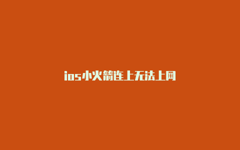 ios小火箭连上无法上网