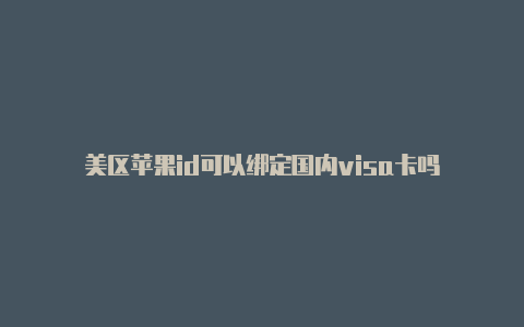 美区苹果id可以绑定国内visa卡吗