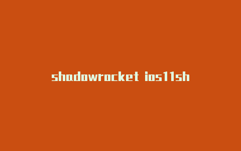 shadowrocket ios11shadowrocket小火箭需要花钱么