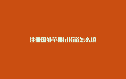 注册国外苹果id街道怎么填