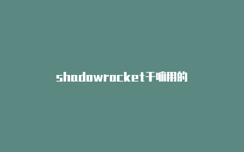 shadowrocket干嘛用的