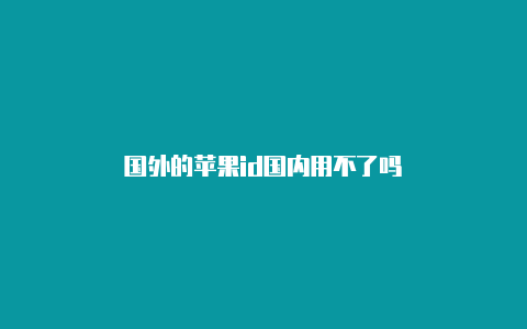 国外的苹果id国内用不了吗