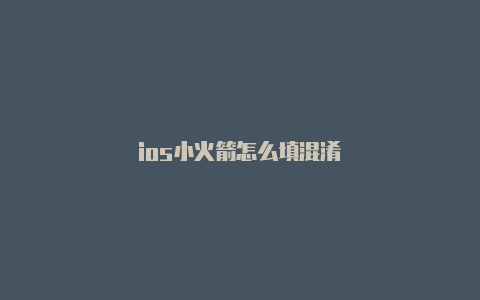 ios小火箭怎么填混淆