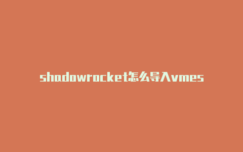 shadowrocket怎么导入vmess